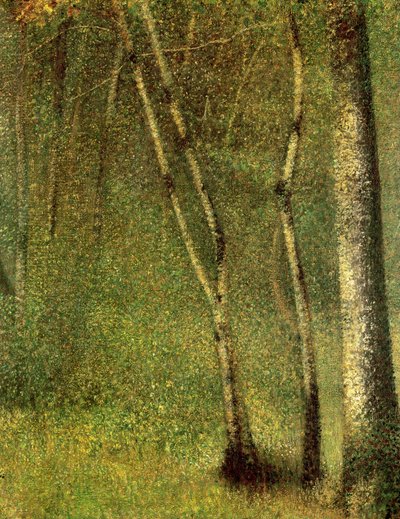 In het bos bij Pontaubert door Georges Seurat